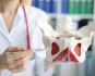A doctor showing a model of a pelvic